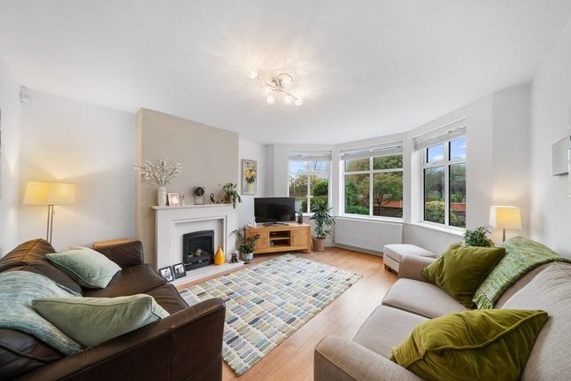 8 Montrose Drive, Southport photo 4
