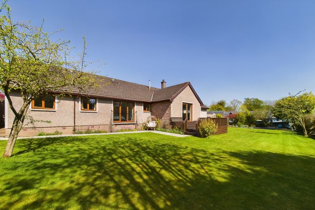 Thumbnail Bungalow for sale in Burnhead Road, Blairgowrie, Perthshire
