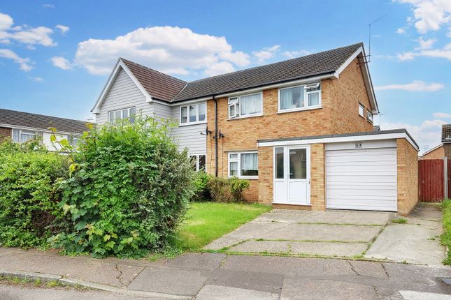Thumbnail Semi-detached house for sale in Chestnut Walk, Chelmsford