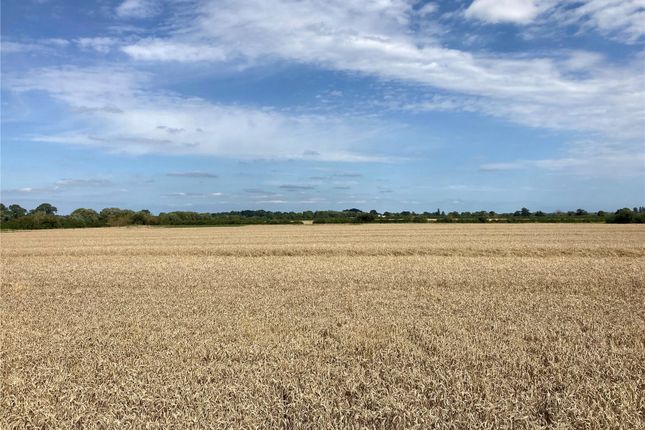 Land for sale in Stanford In The Vale, Faringdon, Oxfordshire