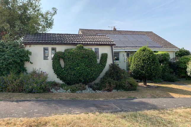 2, Broadlawn, Woolavington photo 2