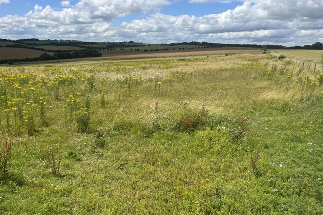 Thumbnail Land for sale in High Street, Hindon, Salisbury