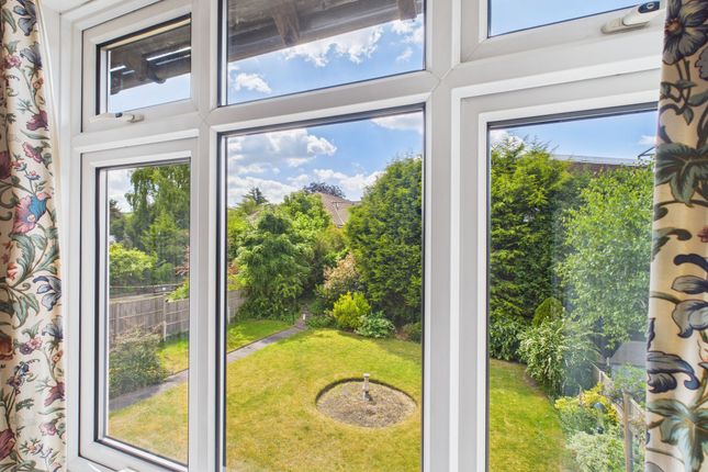 View From Window