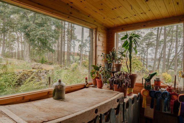 314744 - _A741785-Hdr.Jpg