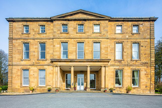 8, Norton Hall, Norton Church Road, Sheffield photo 4
