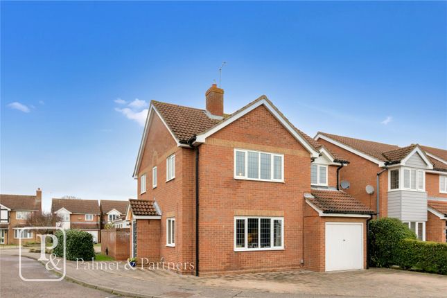 Thumbnail Detached house for sale in Regency Green, Prettygate, Colchester, Essex