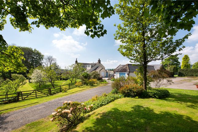 Land for sale in Holehouse And Holehouse Cottage, Thornhill, Dumfriesshire