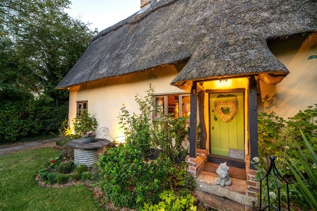 Willow Cottage, Low Road, Harleston photo 3