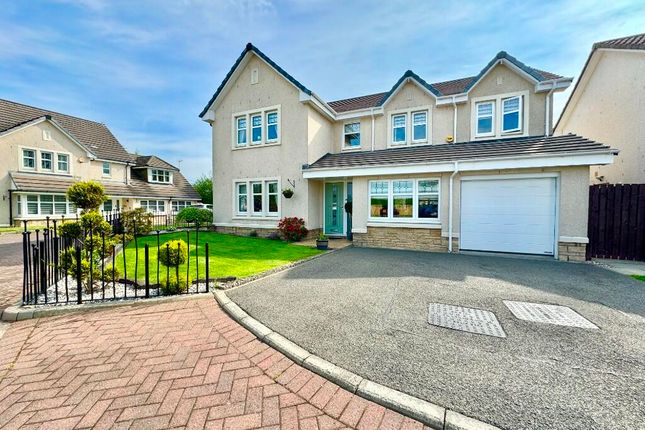 Thumbnail Detached house for sale in Mulloch Avenue, Falkirk