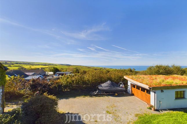 Penrallt Ceibwr, Cardigan photo 5