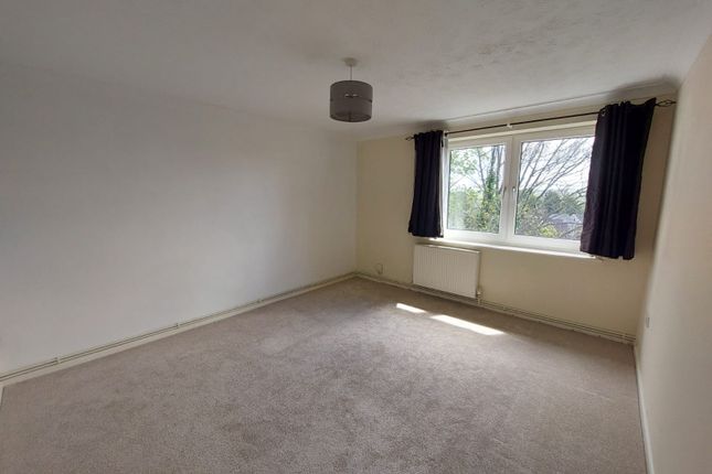 71, Maidstone photo 4