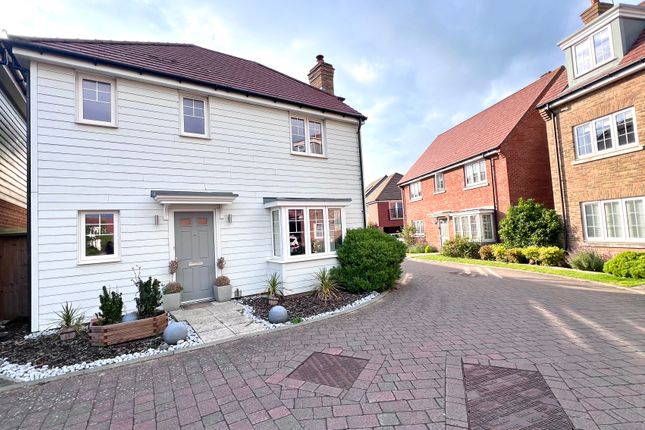 Thumbnail Detached house to rent in Song Thrush Drive, Ashford