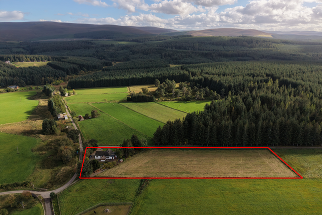 Cormuir, Cormuir, Ballindalloch photo 2