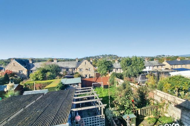 Lime Tree Walk, Newton Abbot photo 2