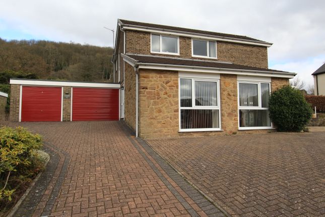Thumbnail Detached house for sale in Hall Rise, Darley Dale, Matlock