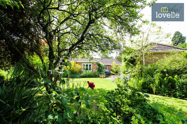 55, Welholme Avenue, Grimsby photo 4
