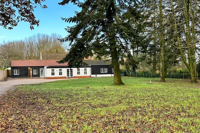 Thumbnail Semi-detached bungalow for sale in Haugh Road, Banham, Norwich