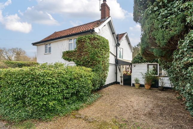 Thumbnail Detached house for sale in Old Street, Newton Flotman