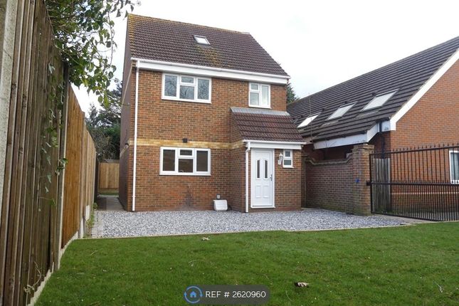 Front Garden/ Driveway