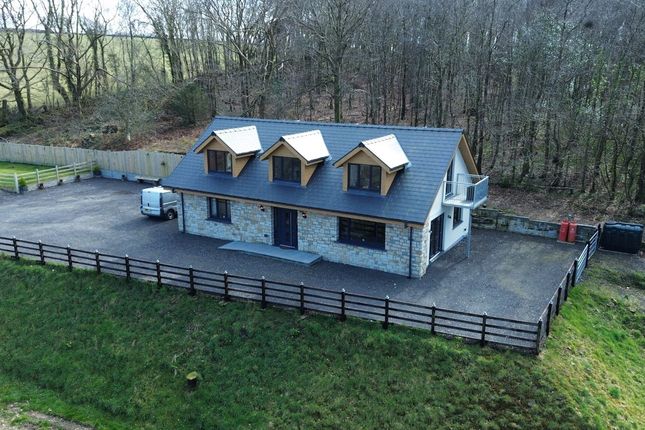 Hazelwood, Capel Dewi, Llandysul photo 5
