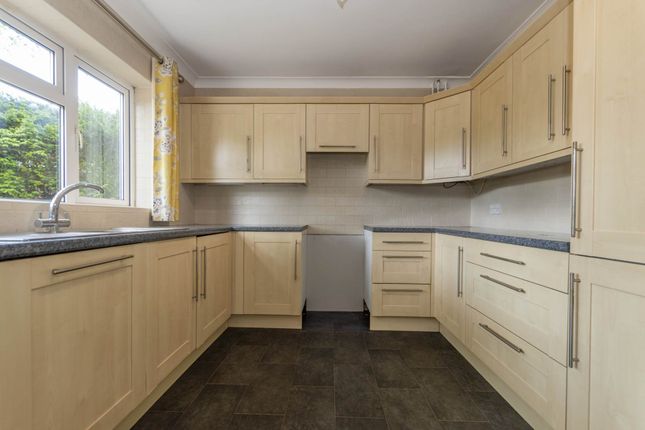 38, Elvina Road, Norwich photo 4