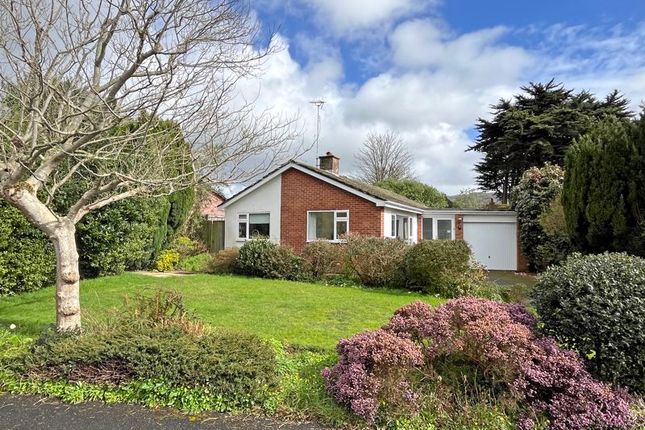 Detached bungalow for sale in Primley Paddock, Sidmouth