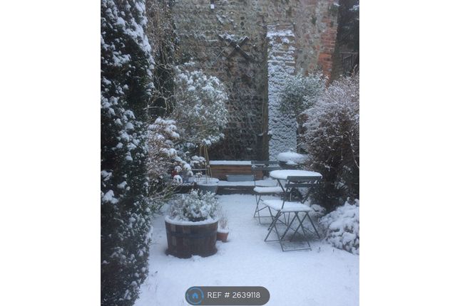 Garden With Snow