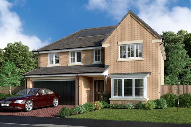 Thumbnail Detached house for sale in "The Beechford" at Mulberry Rise, Hartlepool