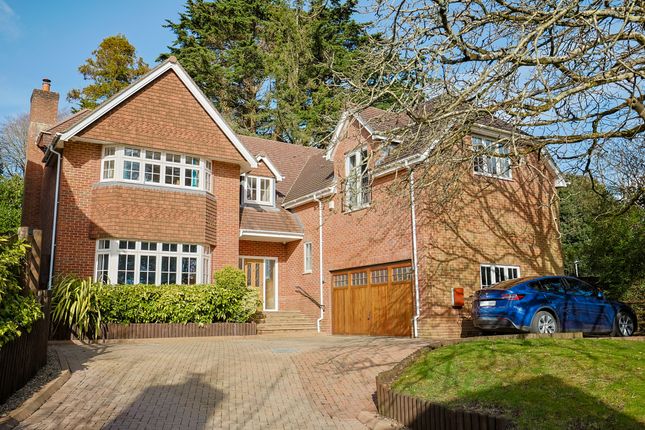 Thumbnail Detached house for sale in Derwen Fawr Road, Sketty, Swansea
