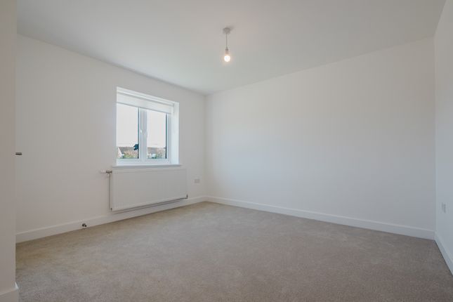1 curlew close - Violet, Leaf Living at The Gateway, Bexhill, TN40, Bexhill-On-Sea photo 3