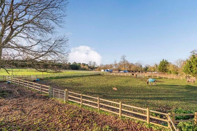 Equestrian property for sale in Cocksure Lane, Sidcup