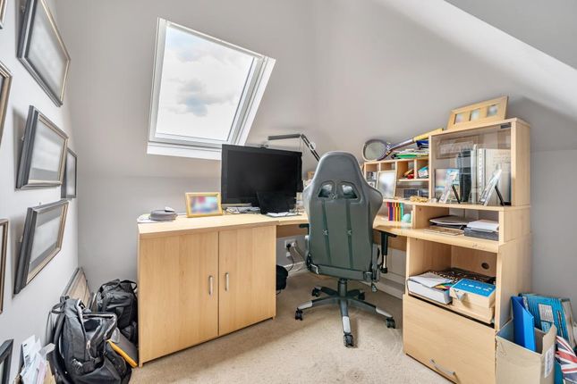 Study Area