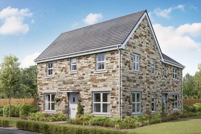 Thumbnail Semi-detached house for sale in "The Deepdale" at Clodgy Lane, Helston