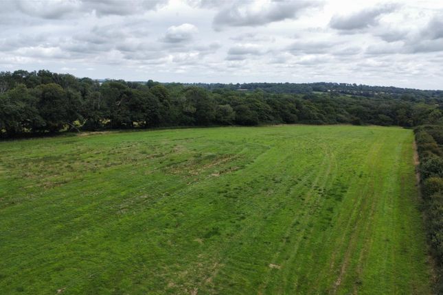 Dji_Fly_20250716_120810_465_1752664097338_Photo_Op