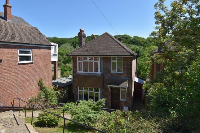 Thumbnail Detached house to rent in Harold Road, Hastings