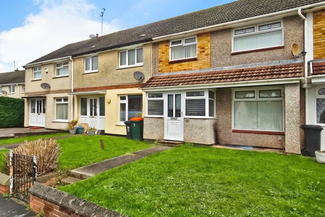 User_Edited_Photo-9c918d3F_User-Edited-d7E17ce6-B5