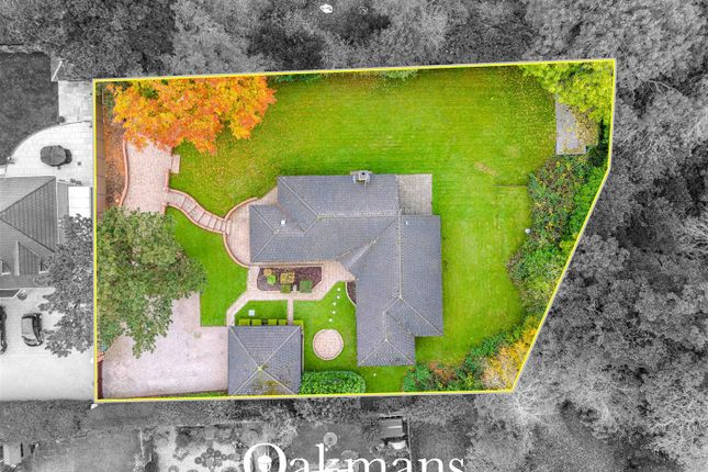 Dji_20241024151325_0