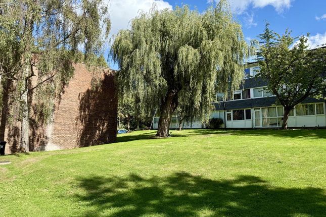 Communal Grounds