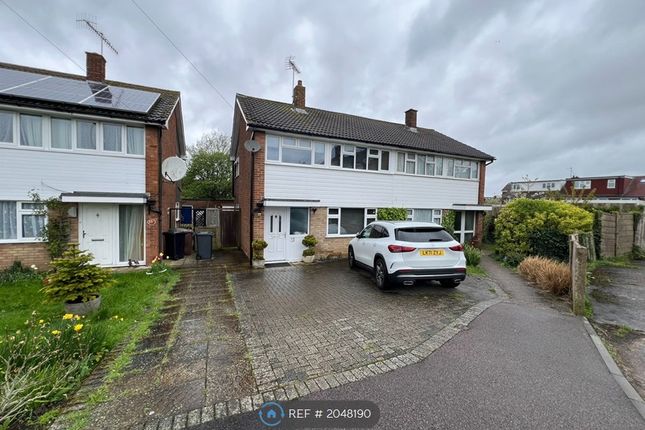 Thumbnail Semi-detached house to rent in Little Grove, Bushey