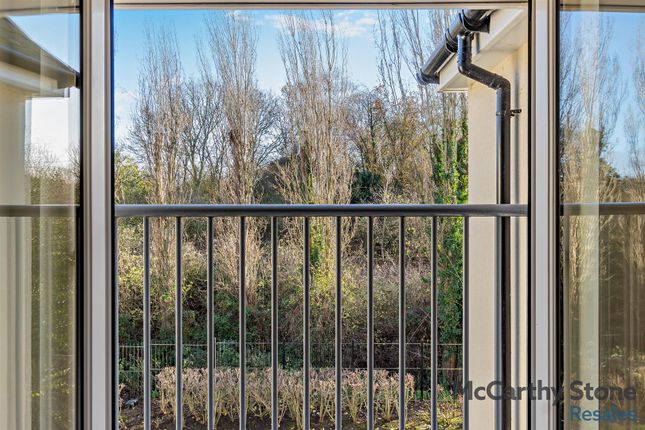 37 Roslyn Court, Lisle Lane, Ely photo 3