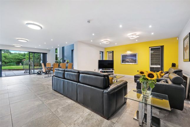Lounge/Family Room