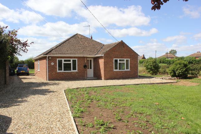 Thumbnail Detached bungalow to rent in Stow Road, Magdalen, King's Lynn