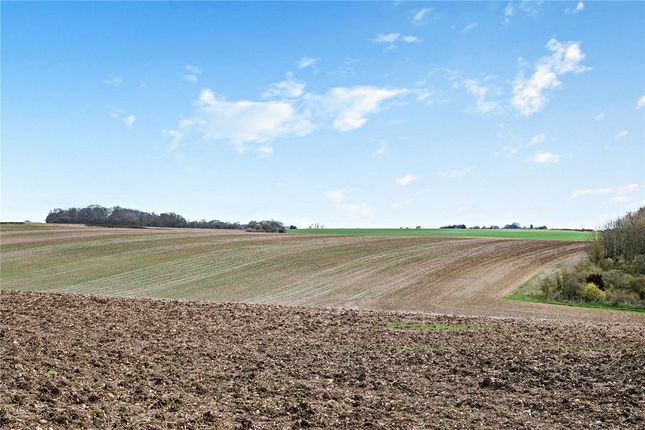 Land for sale in Beedon, Newbury, Berkshire