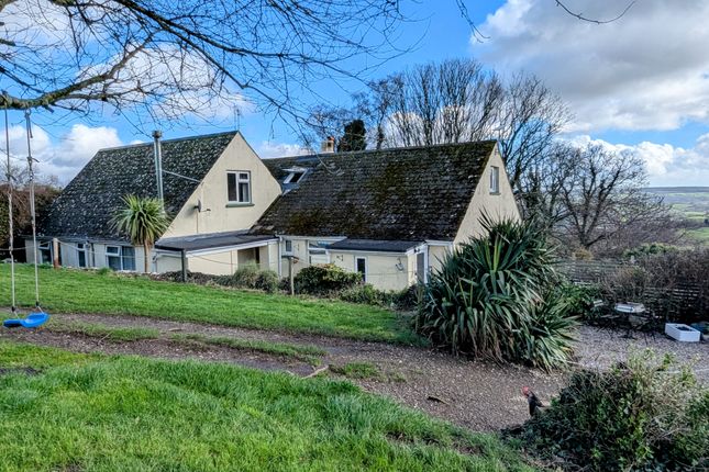 The Property
