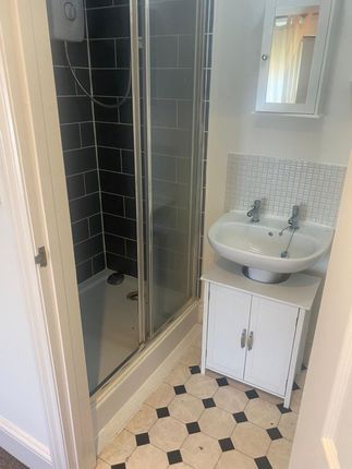 A Clean, Well-Maintained Bathroom Featuring A Show...