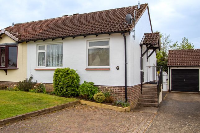 Semi-detached bungalow for sale in Hornbeam Close, Honiton
