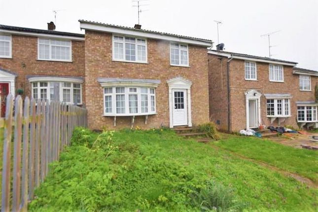 Thumbnail Property to rent in Pickford Walk, Colchester