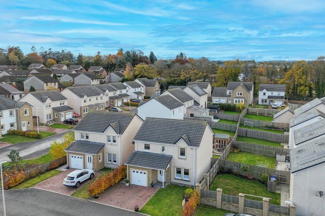 Dji_20251027120309_0065_D-Edit