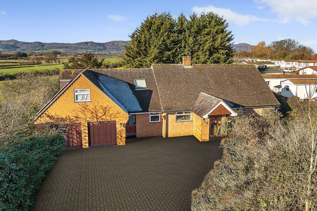 Thumbnail Detached bungalow for sale in Hook Bank, Hanley Castle