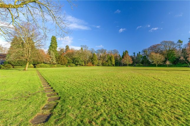 Communal Grounds